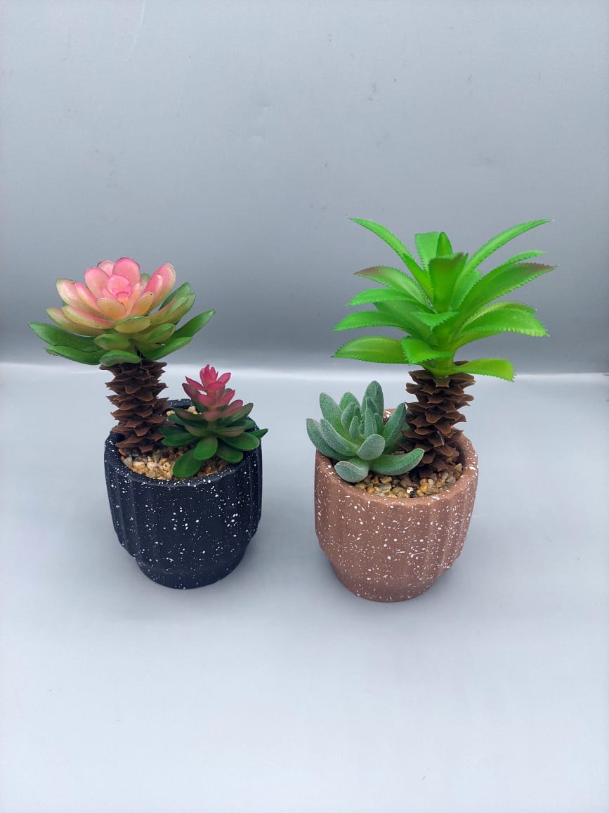 Ceramic plant pots