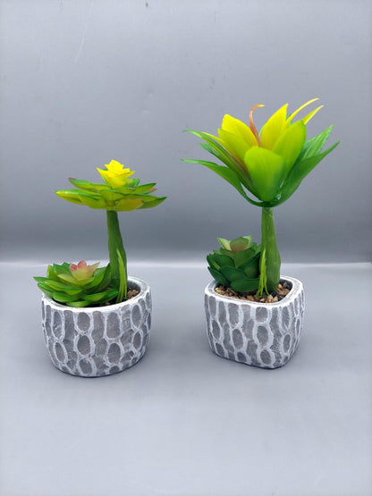 Ceramic plant pots