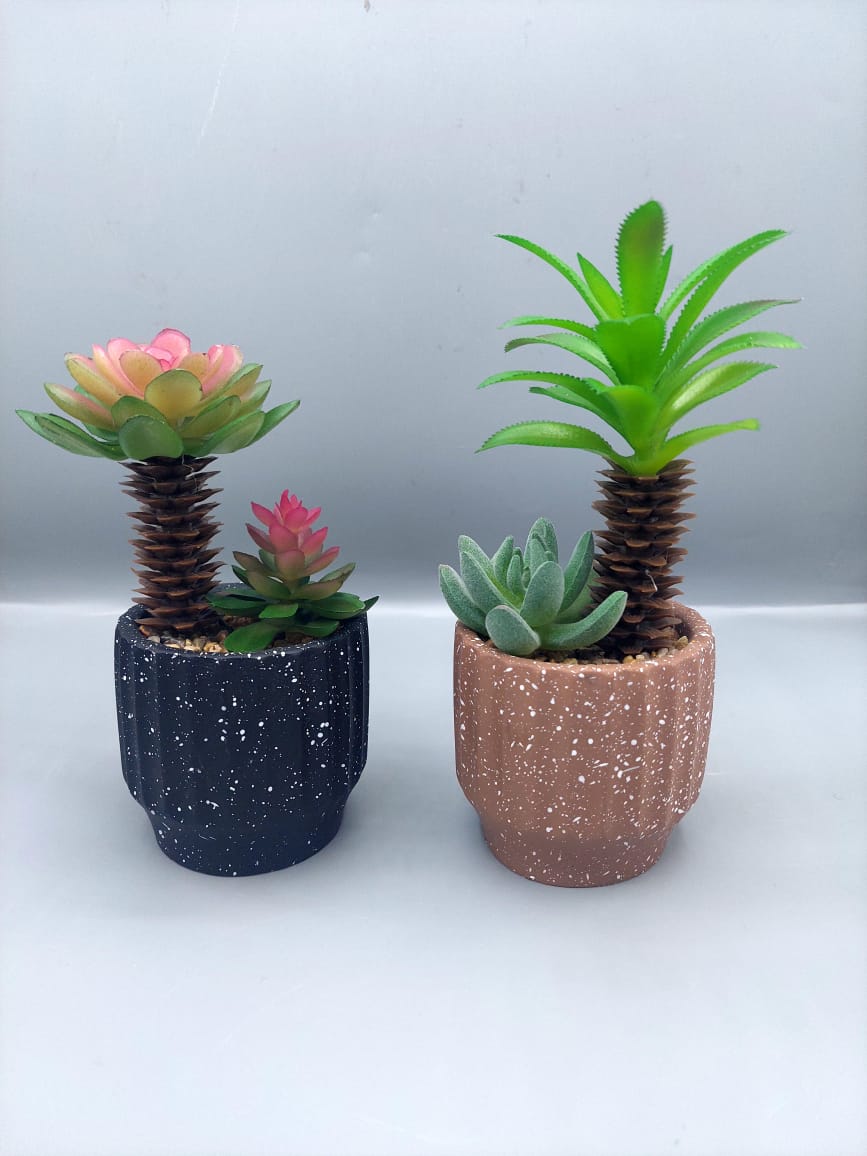 Ceramic plant pots