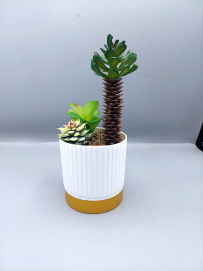 Ceramic plant pots